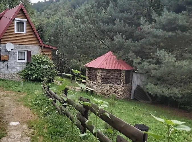 сосновий двір Verkhneye Sinevidnoye