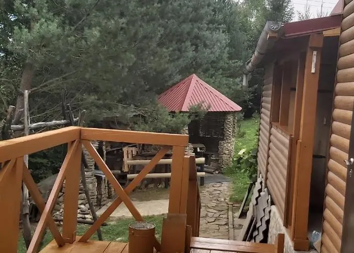сосновий двір * Verkhneye Sinevidnoye