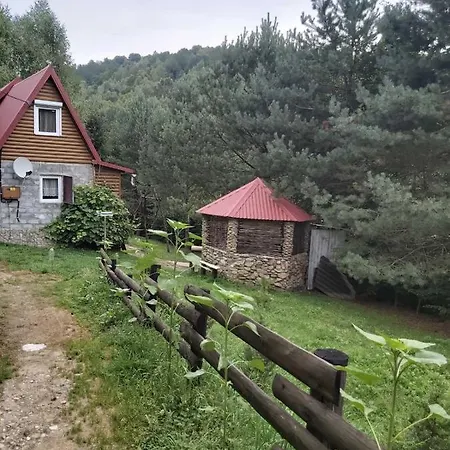 сосновий двір Verkhneye Sinevidnoye